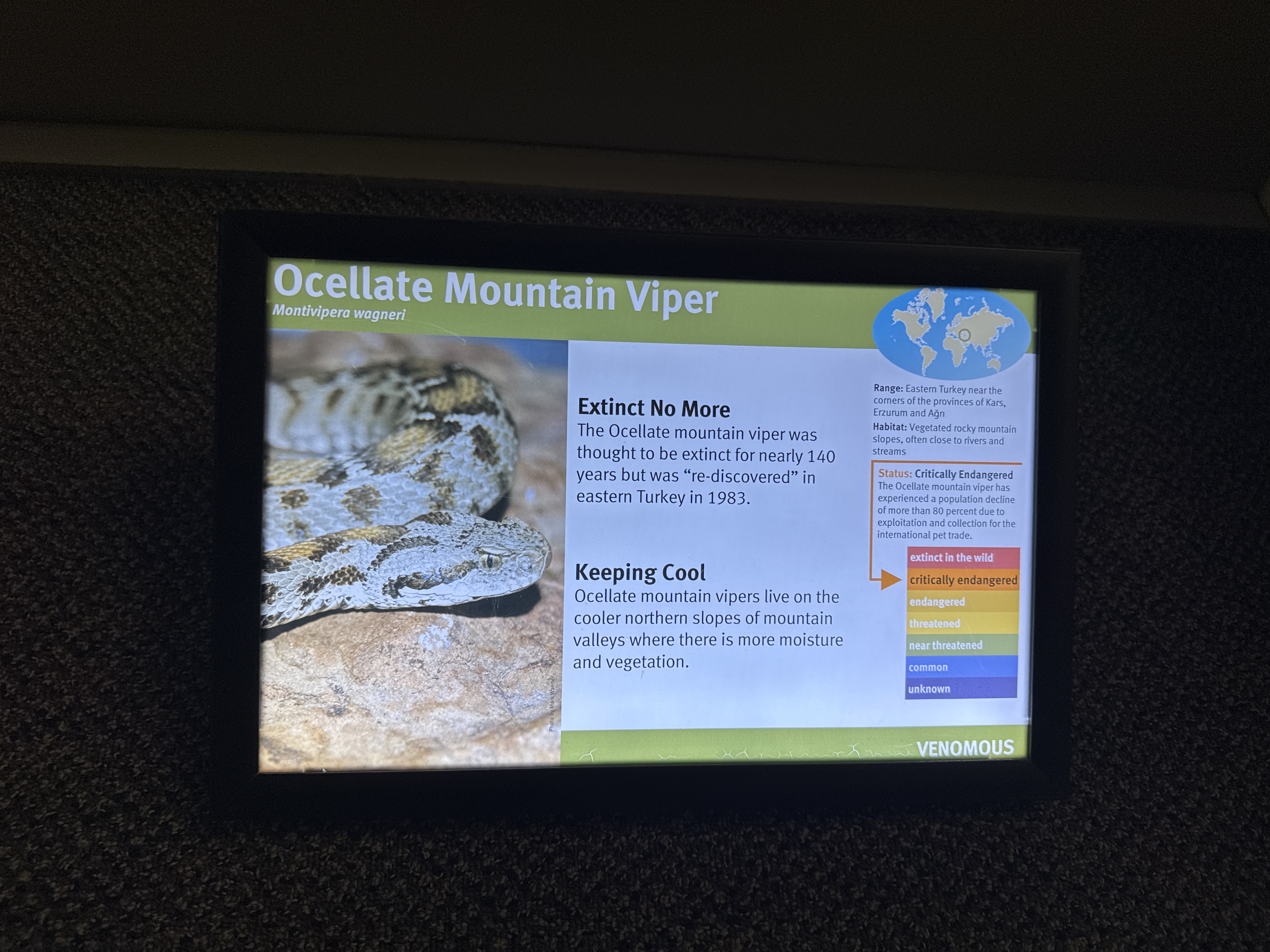 Wagner's Viper