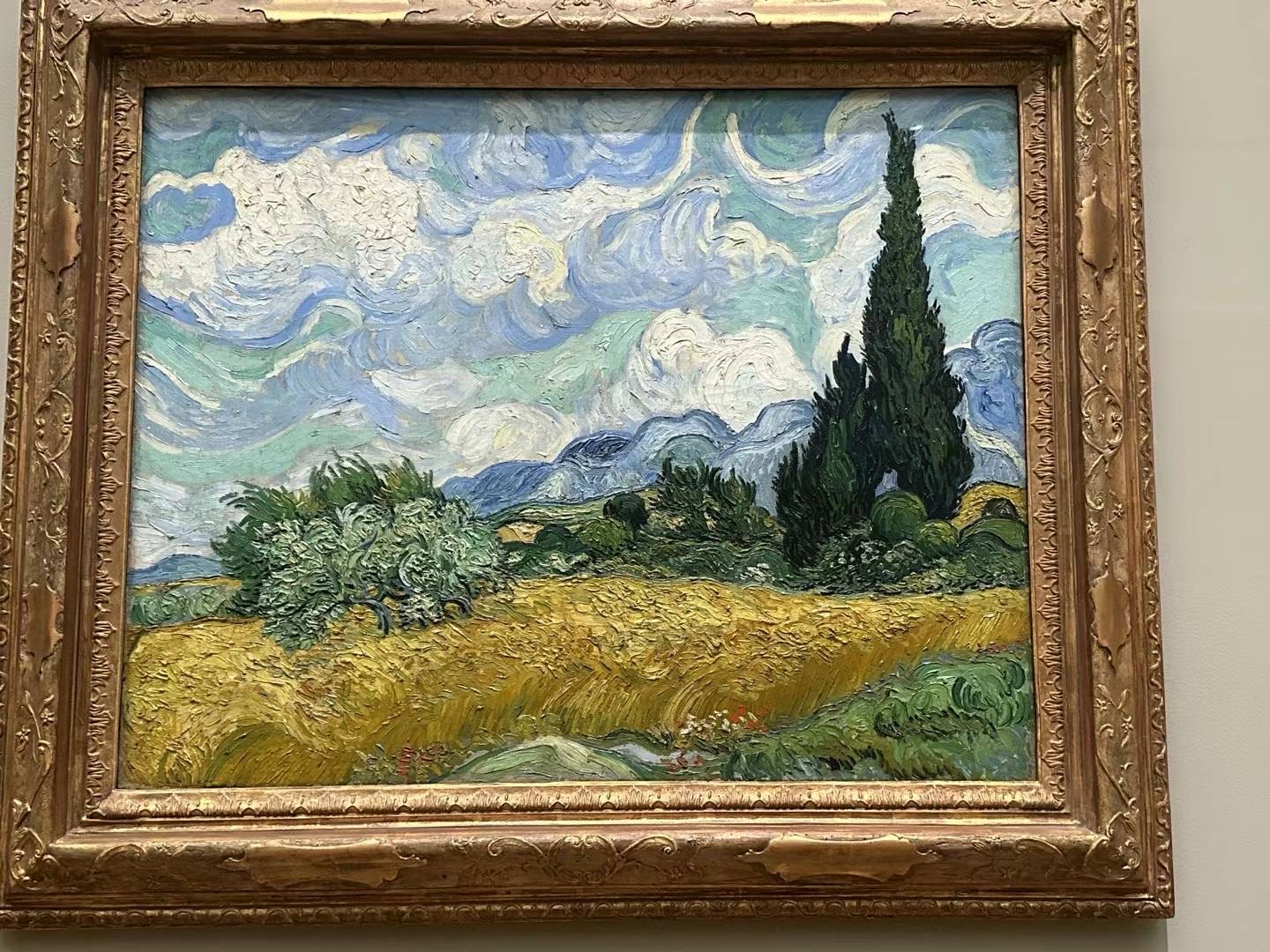 Wheat Field with Cypresses