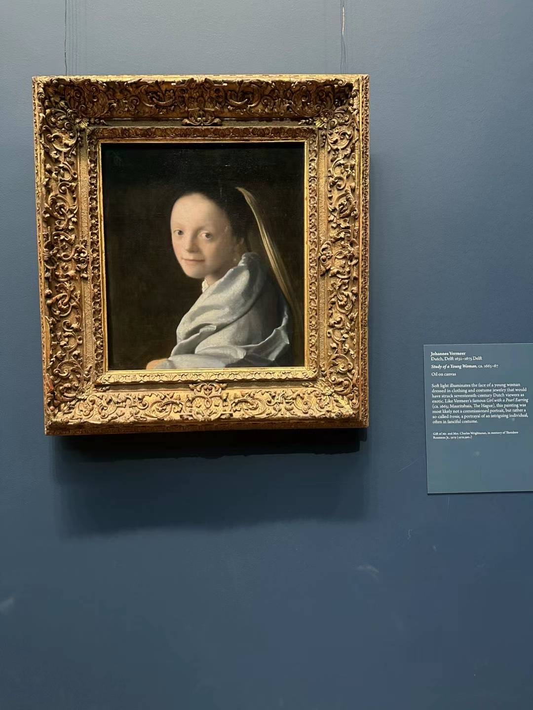 Girl with a Pearl Earring