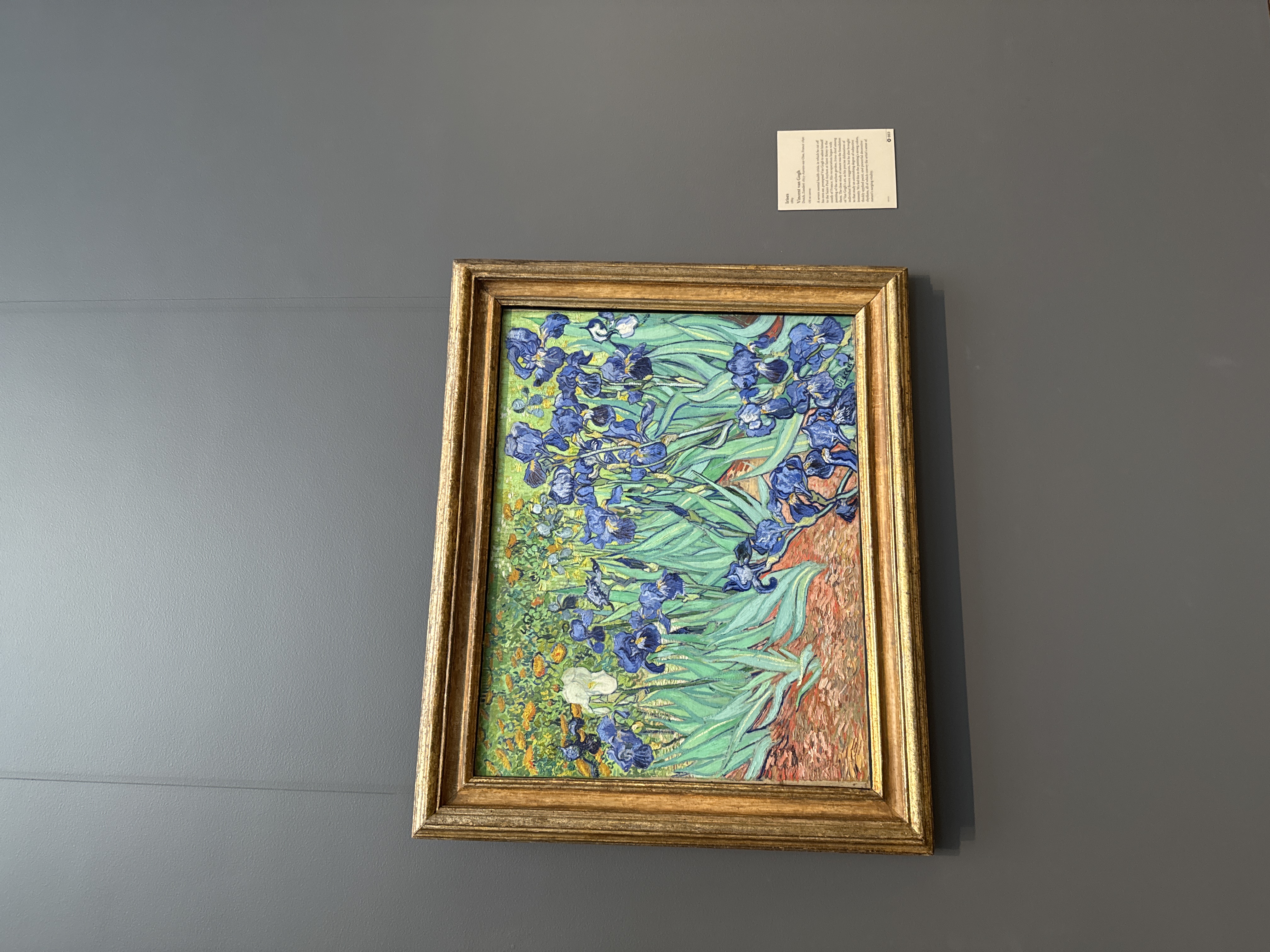 Exhibit response