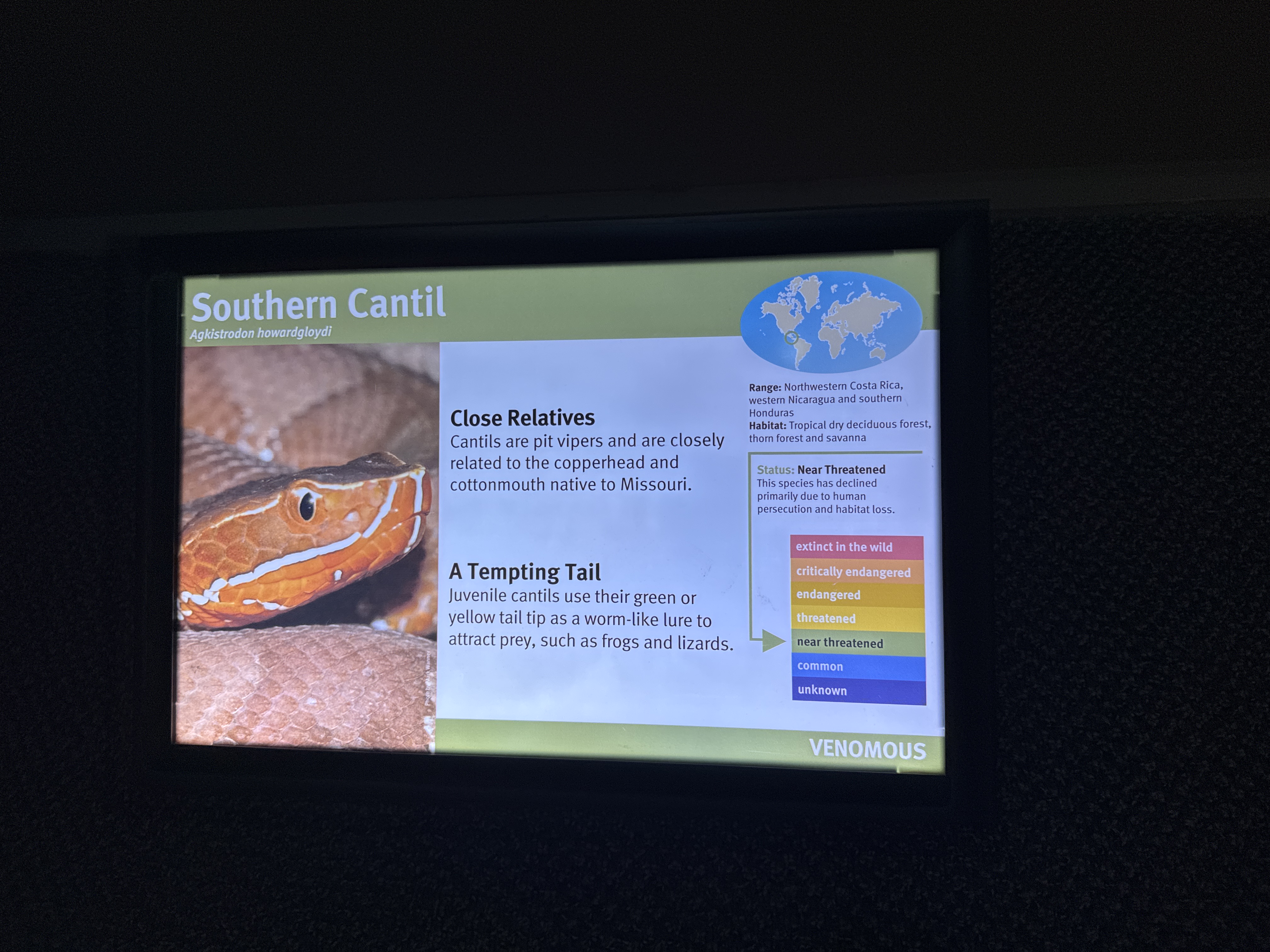 Southern Cantil